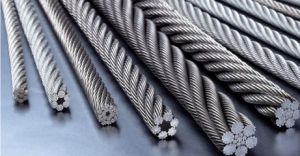 䓽z�K��ʹ�����Լ�Ҫ����(l��i)����(ji��n)��