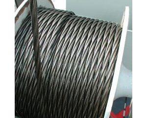 ������䓽z�K�Ę�(g��u)��M�ɼ��(l��i)�e