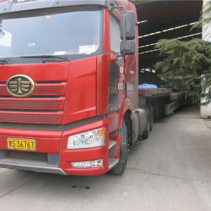 2018010004 �ι��_ ����늄Ӻ��JBCD10-30