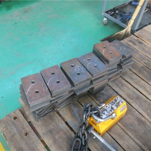 2018111102 ���������^