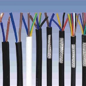 ������|����|���N��е�һ�N��ʲô�ǿ�����|��